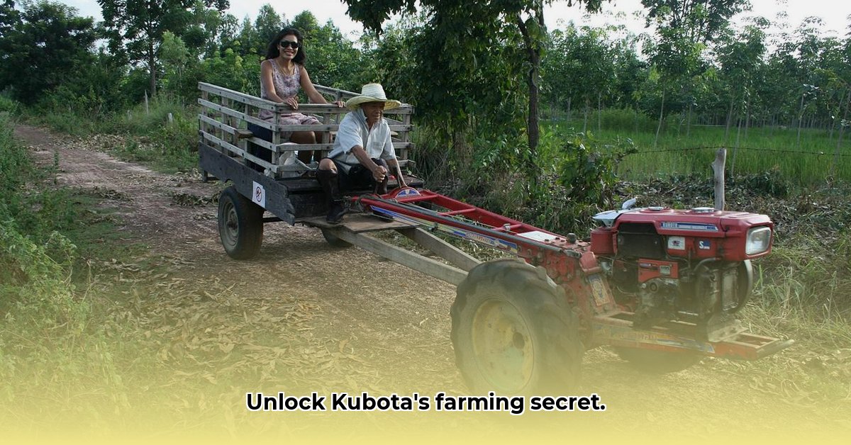 kubota-2-wheel-tractor